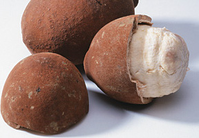 Brazilian Butter cupuacu Rain forest 