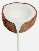 Coconut Milk 