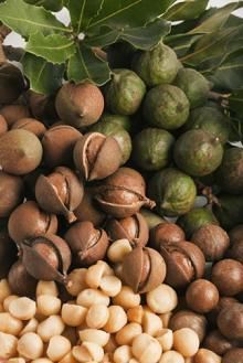 Nut oil 